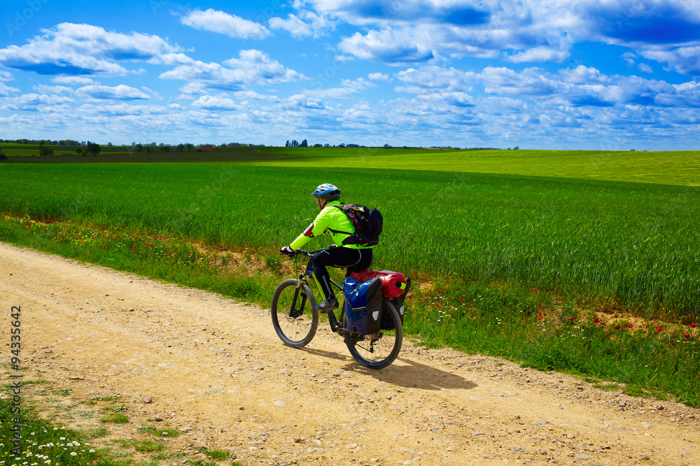 Biker on The Way of Saint James in Castilla Leon Biker on The Way of Saint James in Castilla Leon
