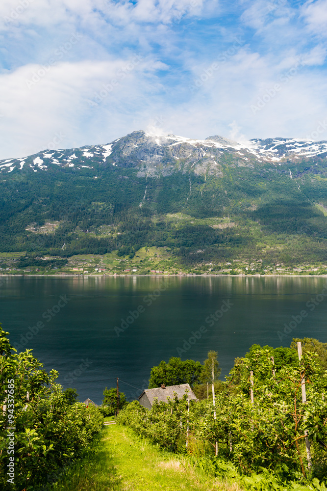 Obraz premium Landscape near Hardangerfjord in Norway