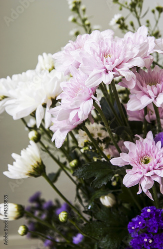 Wallpaper Mural Chrysanthemum flowers Torontodigital.ca