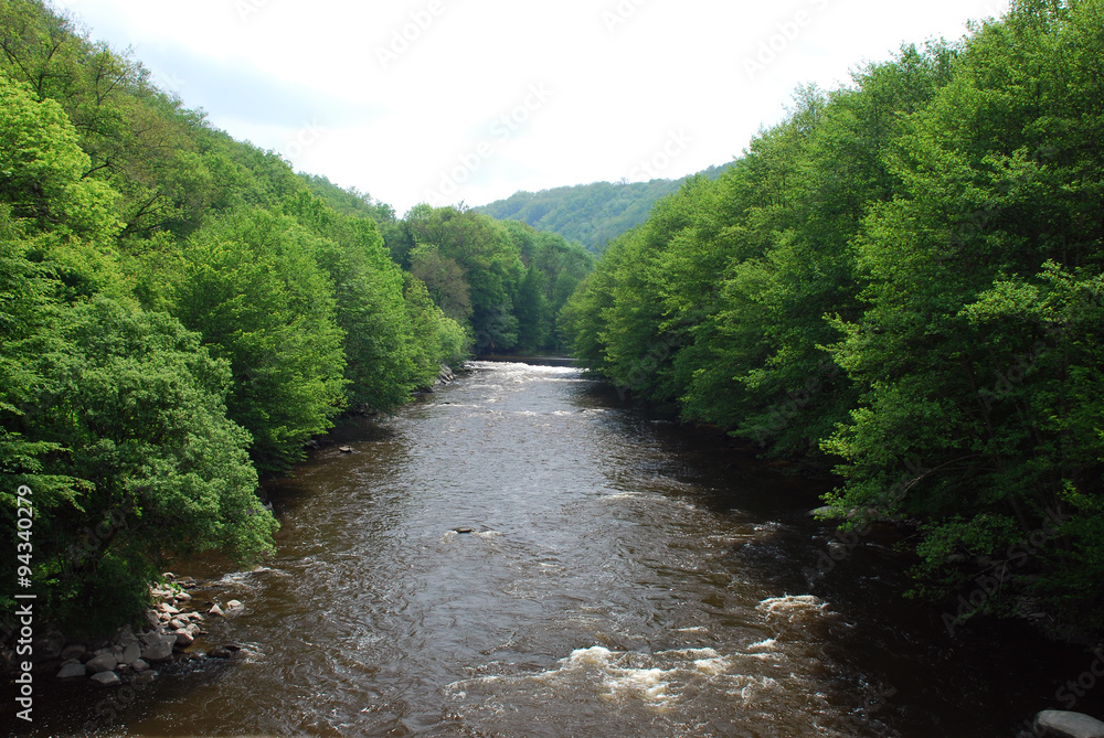 River and forest landscape