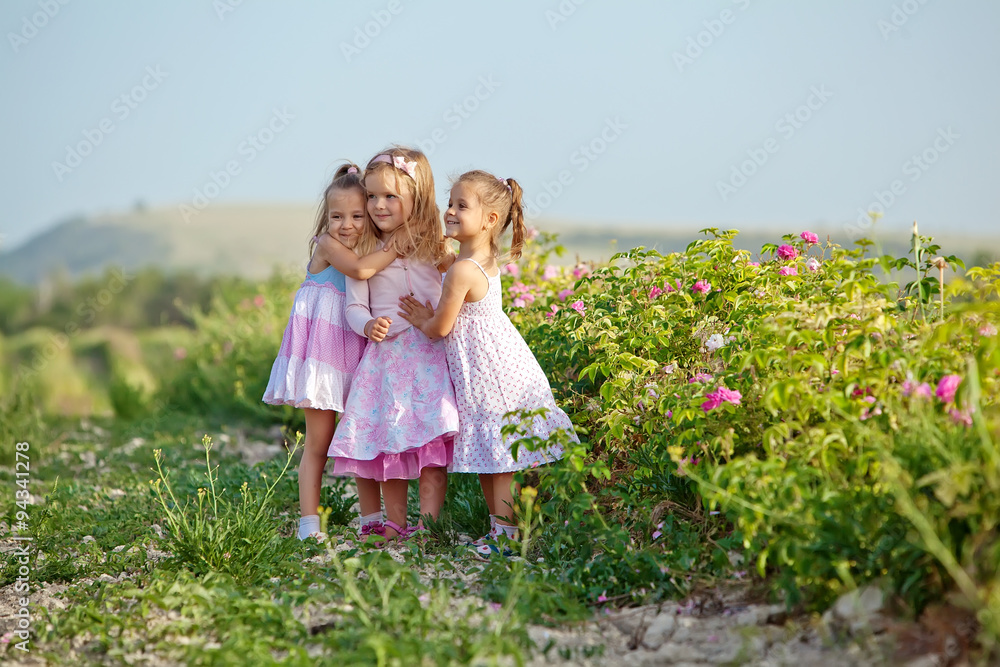 Three little girlfriends are playing in roses field Three little girlfriends are playing in roses field