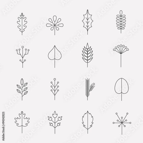 Leaf icon set