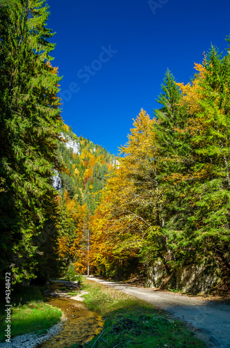 The colors of autumn. Autumn landscape in mountains with colorful forest and blue sky.