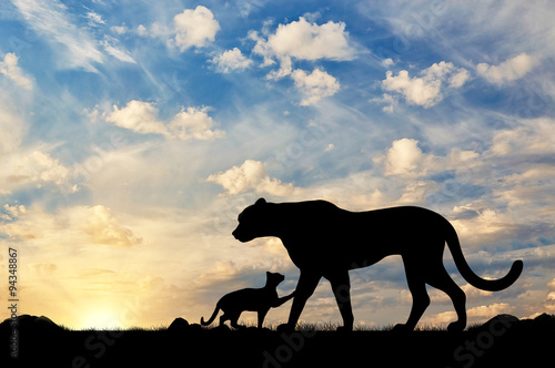 Silhouette of a cheetah and cubs
