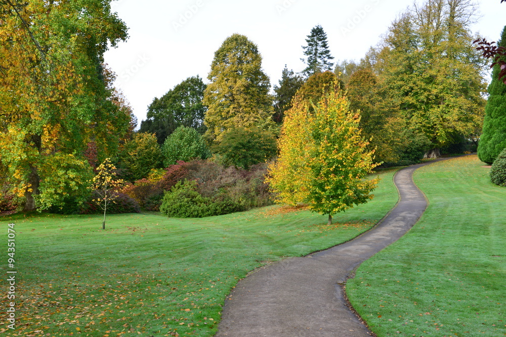 An English country garden in Autumn/ Fall An English country garden in Autumn/ Fall