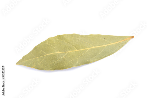 bay leaf