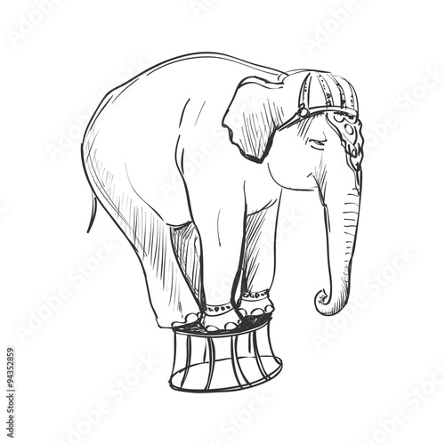 doodle circus elephant