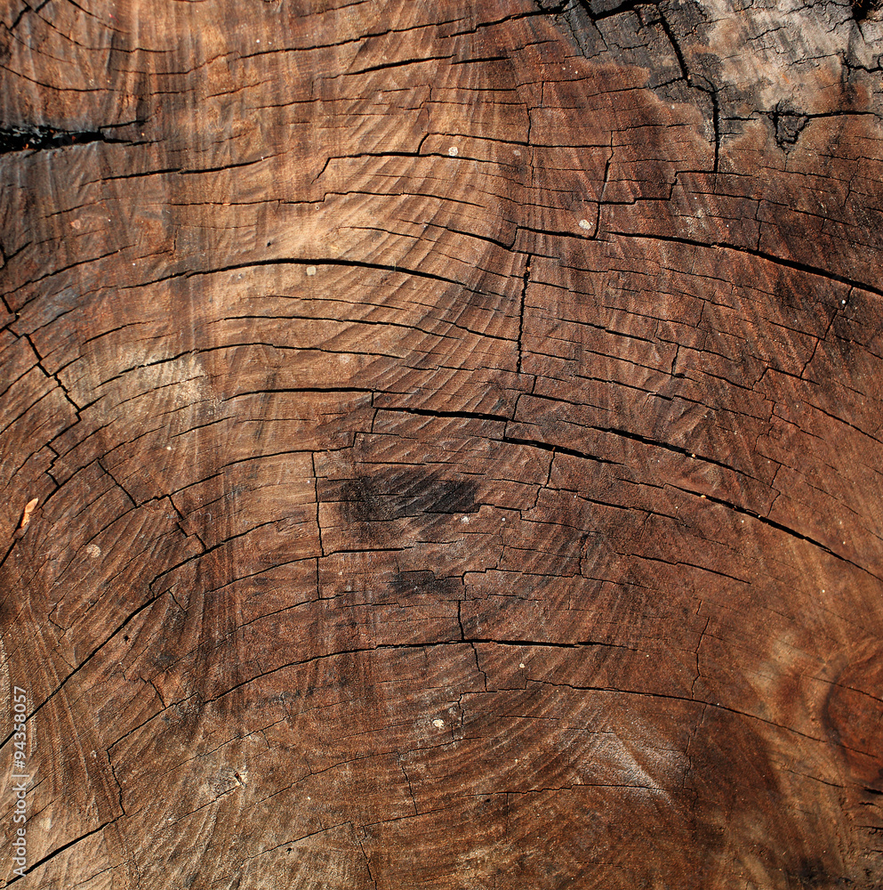 Naklejka premium wood texture