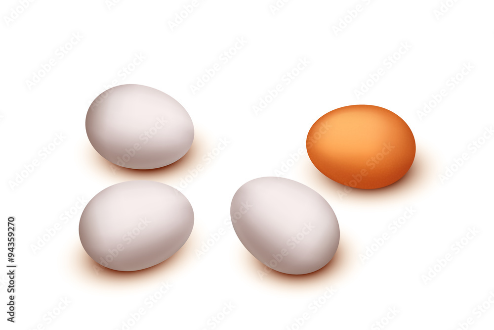 picture of egg group