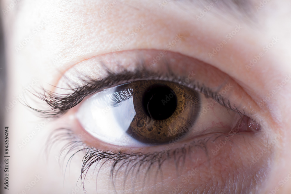 Fototapeta premium Occhio