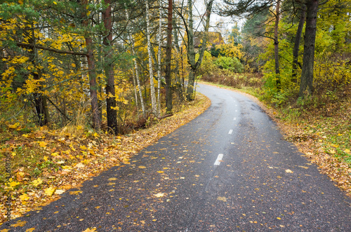 Rural autumn landscape with asphalt road