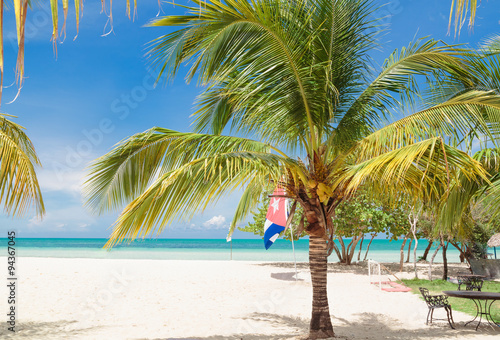 beautiful inviting gorgeous view of Cuban Cayo Coco island beach with pretty fluffy palm tree in foreground © Vit
