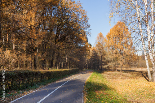 Road with bicycle lane in the autumn park