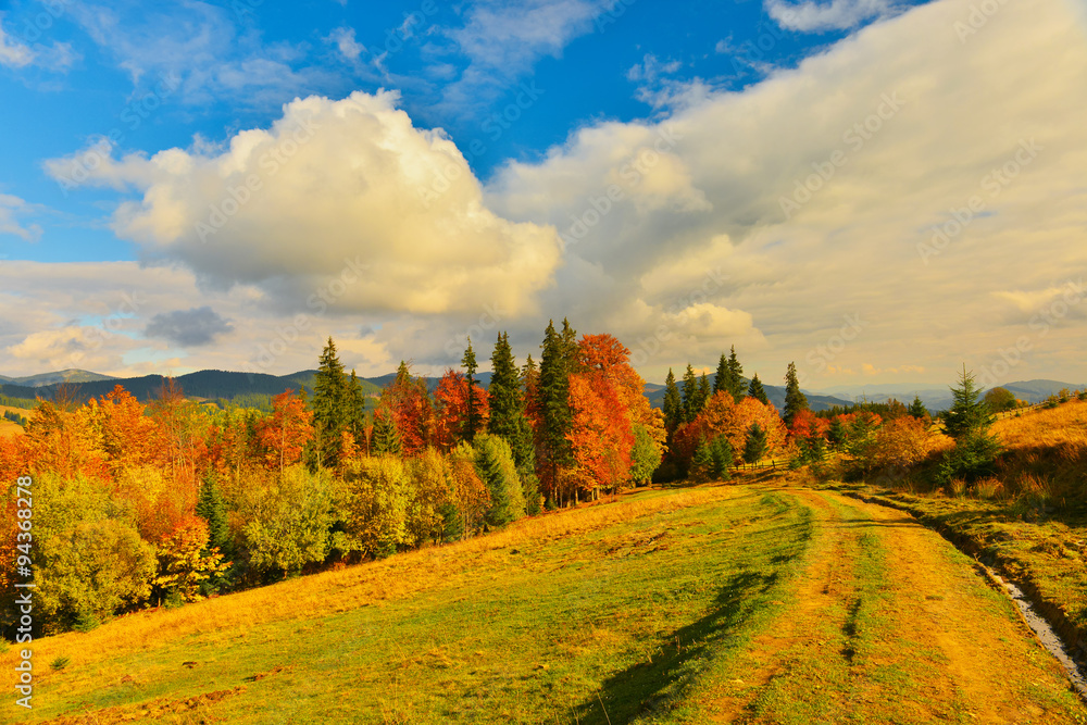 Autumn countryside