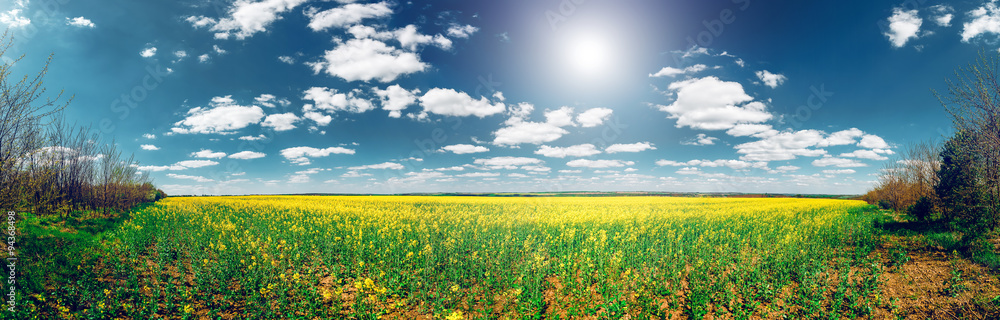 Flowers field in Bakota Park