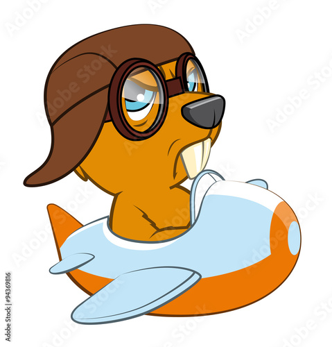 Castor aviator