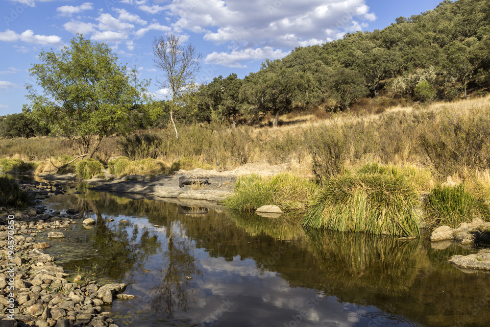 Countryside landscape scenic view of a fresh water stream in Alentejo region. Countryside landscape scenic view of a fresh water stream in Alentejo region.