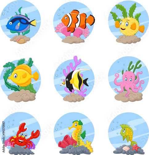 Cartoon sea life collection set