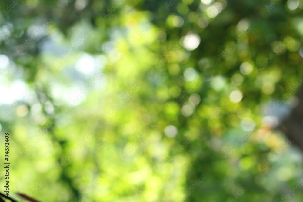 bokeh green color background nature soft natural bokeh green color background nature soft natural