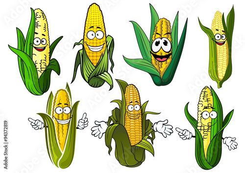 Cartoon corn cobs with golden grains
