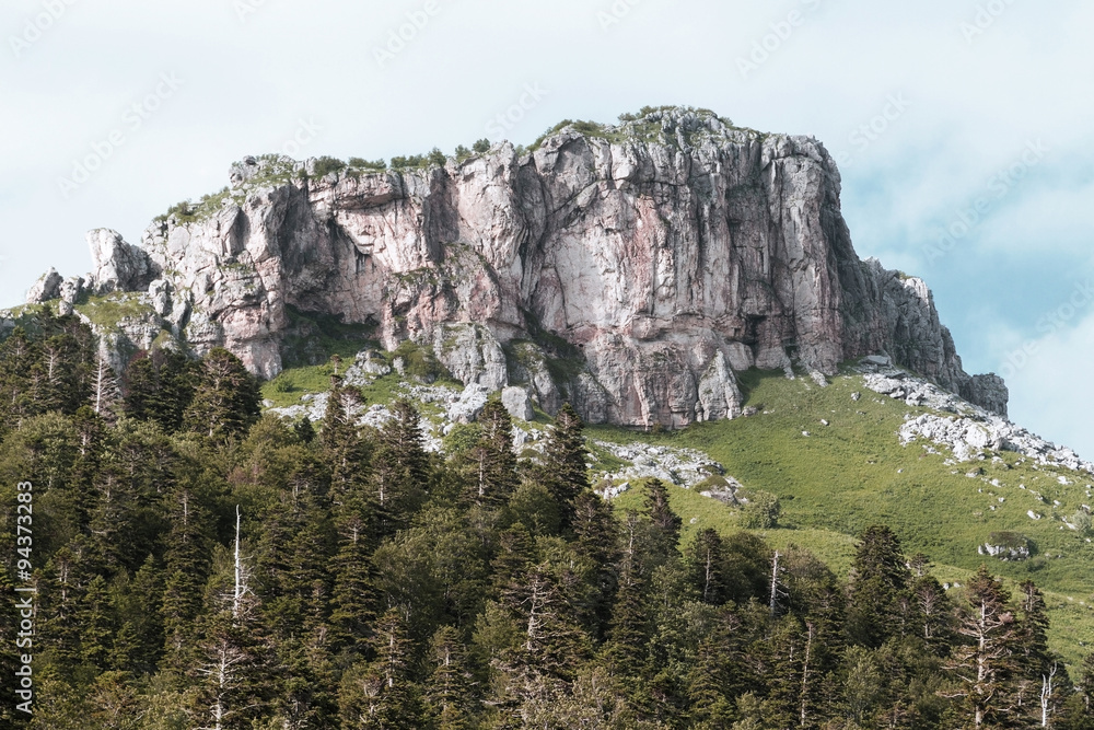The mountain autumn landscape with forest and high Caucasus Mo The mountain autumn landscape with forest and high Caucasus Mo