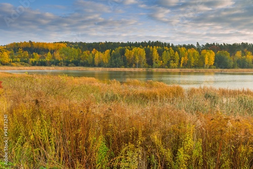 Autumnal landscape with lake and plants with autumnal colors