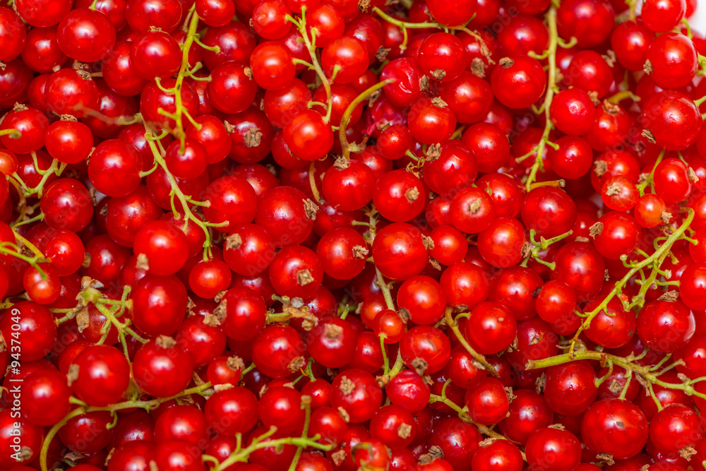 Background made of red currant berries Background made of red currant berries