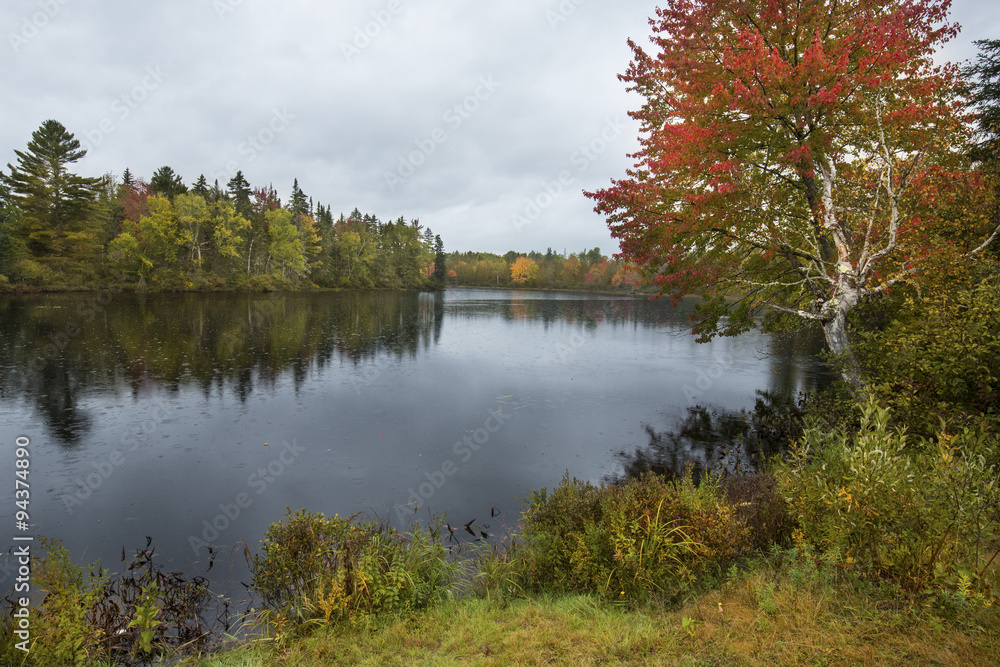 Obraz premium Fall foliage on the Androscoggin River near Errol, New Hampshire.
