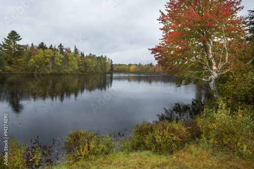 Fall foliage on the Androscoggin River near Errol, New Hampshire.