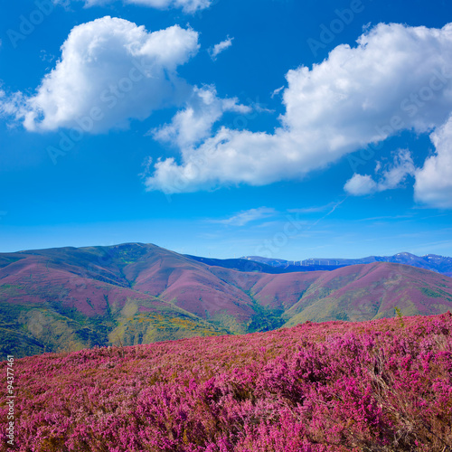 The way of Saint James in Leon pink mountains