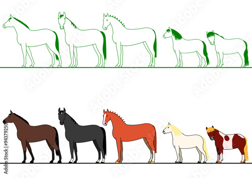 horses standing in line