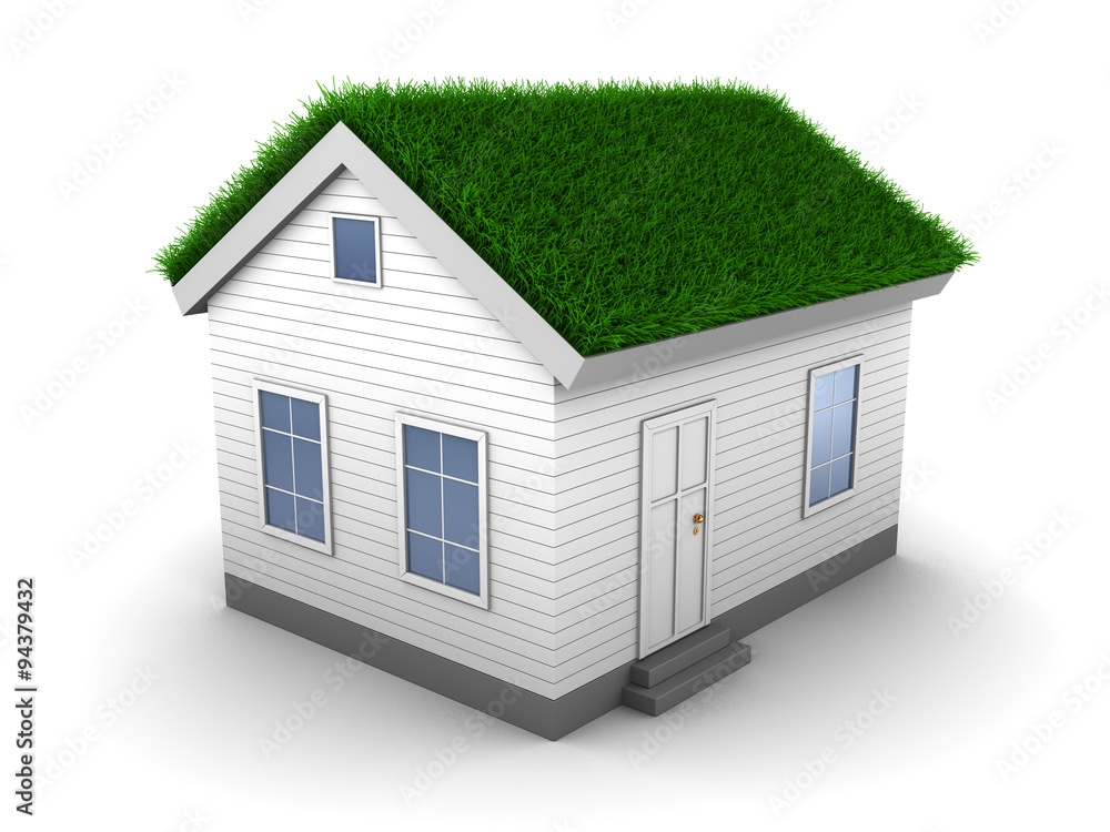 3d house with grass on roof 3d house with grass on roof