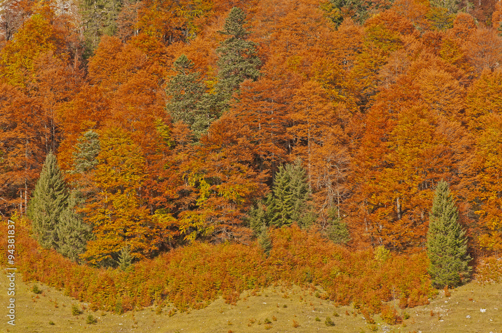 Goldener Herbst im Karwendel Goldener Herbst im Karwendel