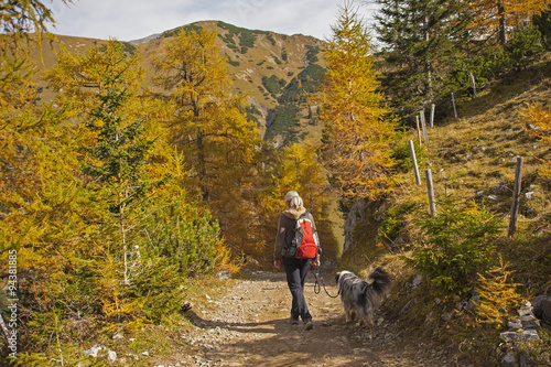 Goldener Herbst im Karwendel