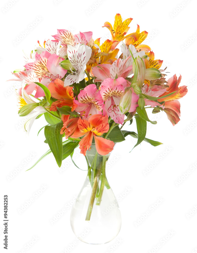 Bouquet of Alstroemeria flowers isolated on white background.