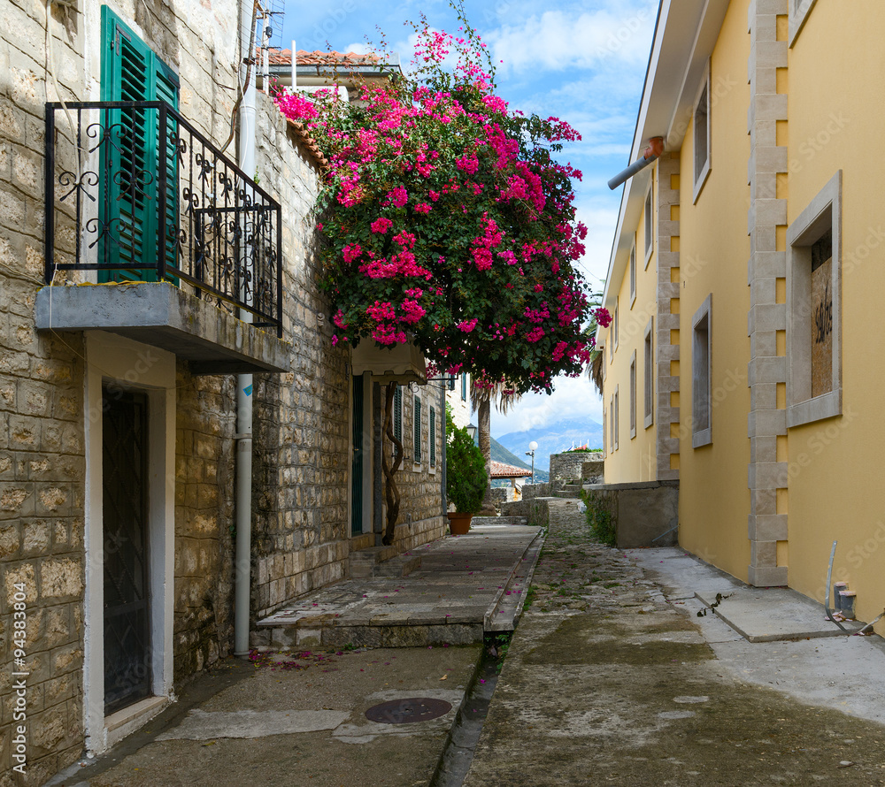Street in Herceg Novi, Montenegro