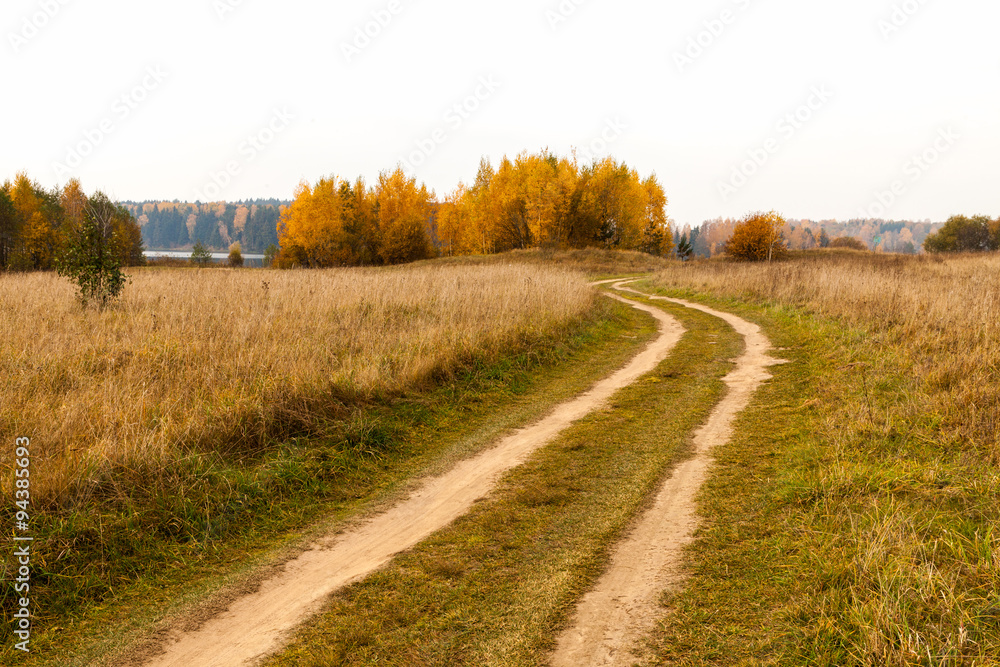 Country road at fall season