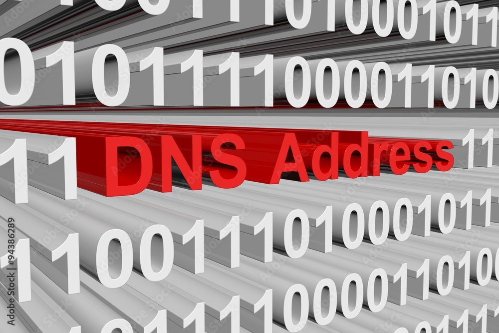 DNS Address is represented as a binary code