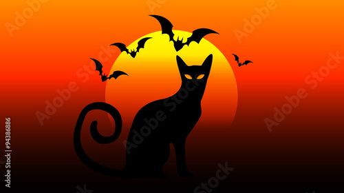 Gatto nero, gatto, halloween, notte, festa di halloween