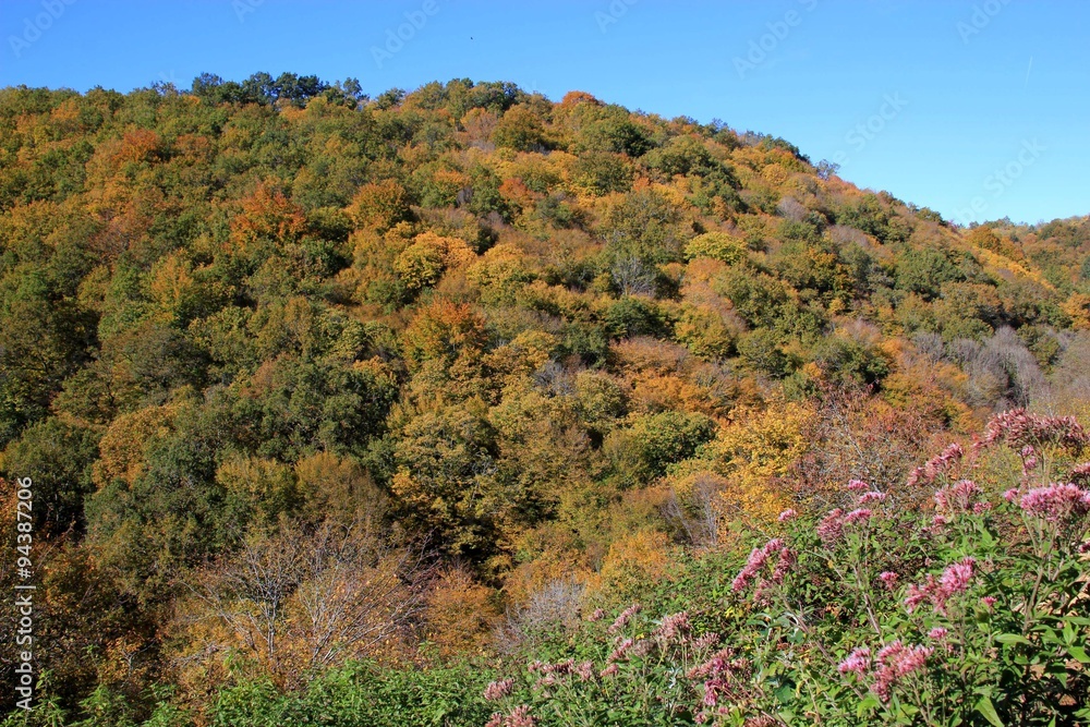 Paysage d'automne.