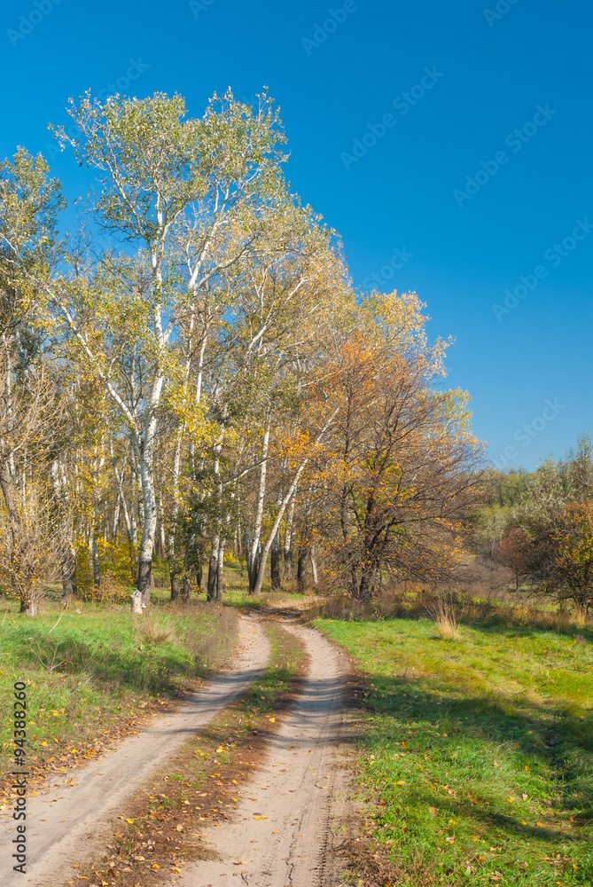 Rural landscape with earth road at sunny autumnal day in central Ukraine
