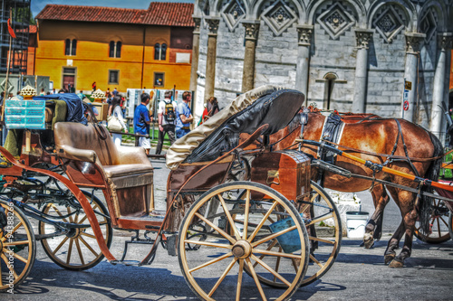 coach and horse in Piazza dei Miracoli in Pisa