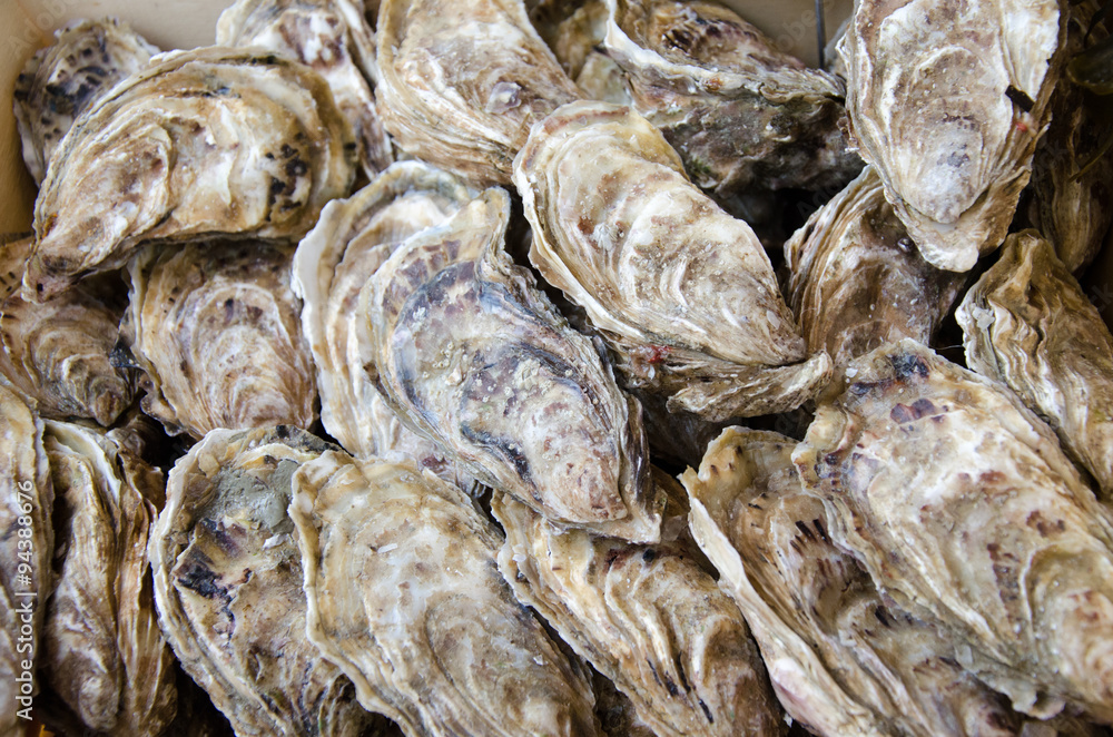 Fresh Oysters market