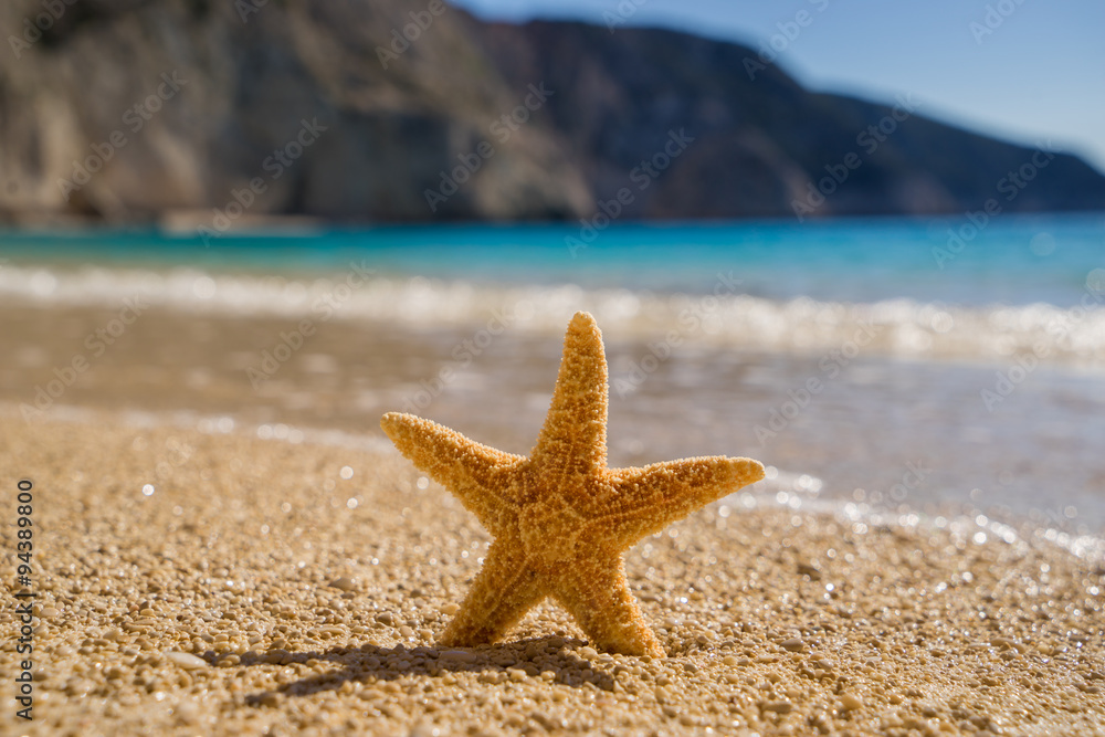 Starfish on Porto Katsiki beach on Ionian Sea Lefkada Starfish on Porto Katsiki beach on Ionian Sea Lefkada