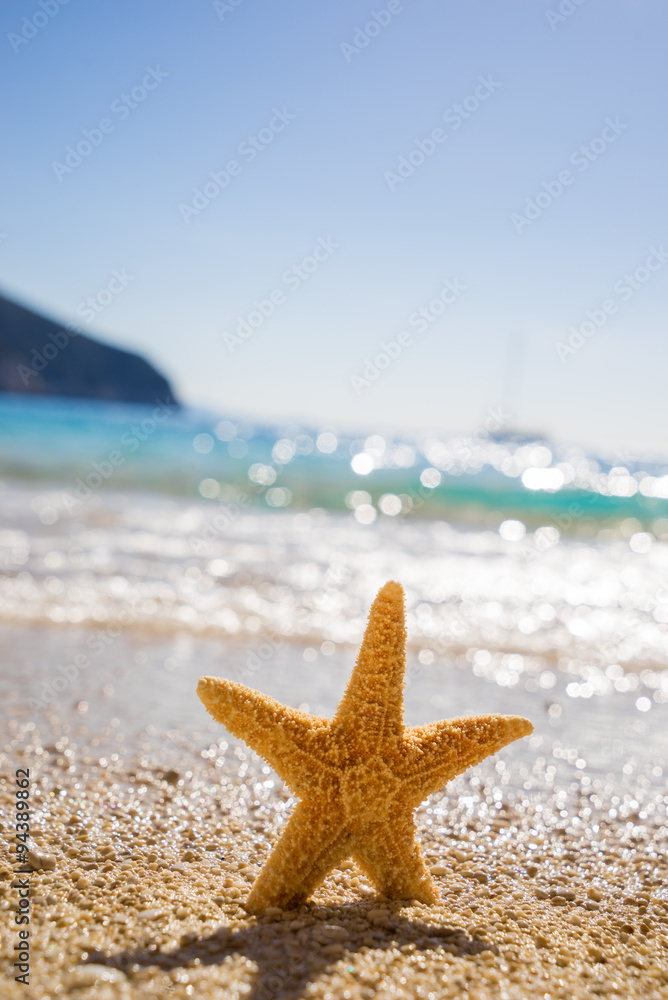 Starfish on Porto Katsiki beach on Ionian Sea Lefkada Starfish on Porto Katsiki beach on Ionian Sea Lefkada