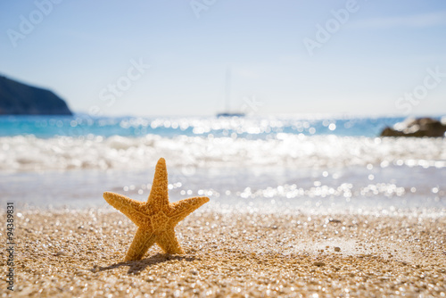 Starfish on Porto Katsiki beach on Ionian Sea Lefkada