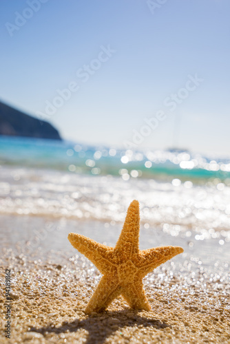 Starfish on Porto Katsiki beach on Ionian Sea Lefkada © Netfalls
