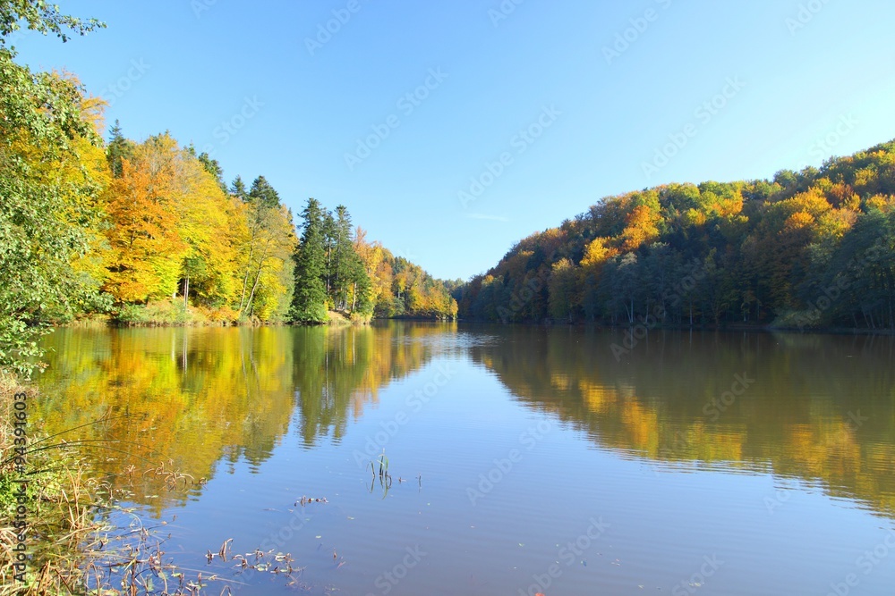 Autumn forest on the lake