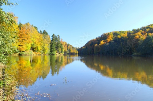 Autumn forest on the lake © Simun Ascic