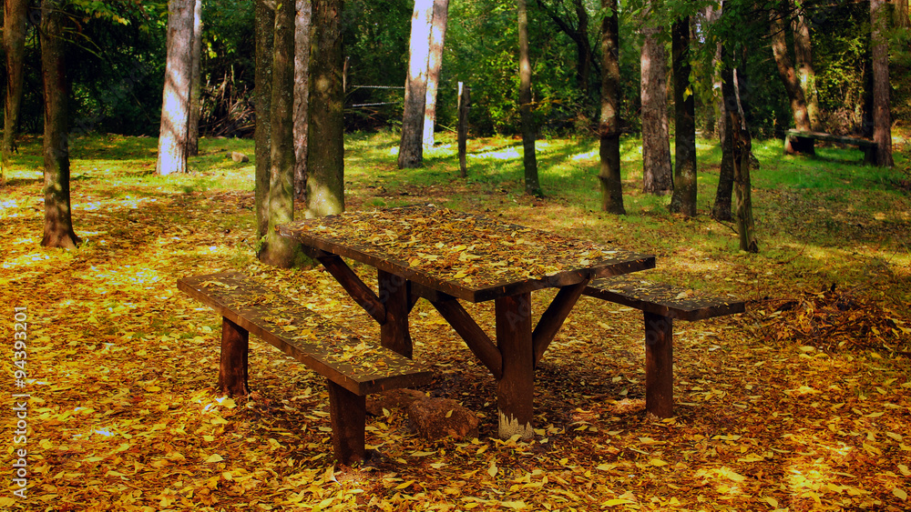 Outdoor park bench in autumn scene Outdoor park bench in autumn scene